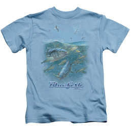 Wild Wings Blue Mayhem - Kid's T-Shirt Kid's T-Shirt (Ages 4-7) Wild Wings   