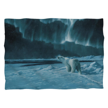 Wild Wings - Polar Night Light 2  Pillow Case Pillow Cases Wild Wings   
