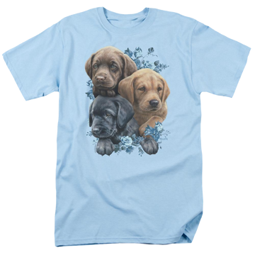 Light blue men's regular fit t-shirt with Wild Wings Puppy Pile graphic