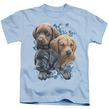 Light blue kid's t-shirt for ages 4 to 7 with Wild Wings Puppy Pile graphic