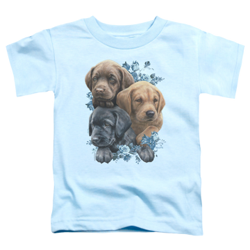 Light blue toddler t-shirt with Wild Wings Puppy Pile graphic