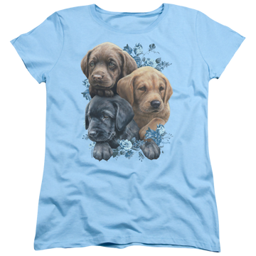 Light blue women's t-shirt with Wild Wings Puppy Pile graphic