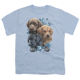 Wild Wings Puppy Pile - Youth T-Shirt Youth T-Shirt (Ages 8-12) Wild Wings   