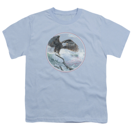 Wild Wings Wild Glory - Youth T-Shirt Youth T-Shirt (Ages 8-12) Wild Wings   