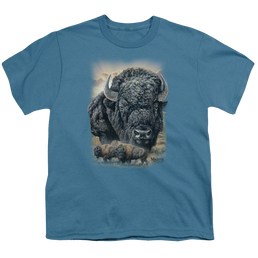Wild Wings Sunset Buffalo - Youth T-Shirt Youth T-Shirt (Ages 8-12) Wild Wings   