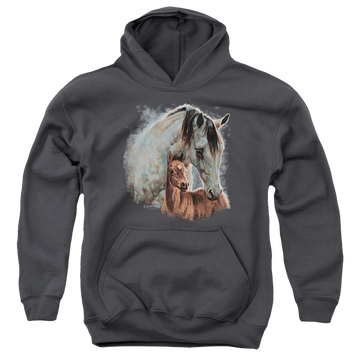 Charcoal youth hoodie for ages 8 to 12 with Wild Wings Painted Horses graphic