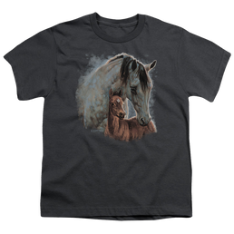 Wild Wings Painted Horses - Youth T-Shirt Youth T-Shirt (Ages 8-12) Wild Wings   