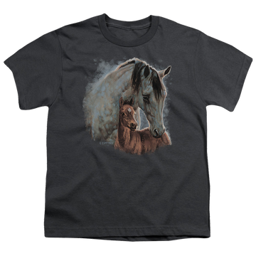 Charcoal youth t-shirt for ages 8 to 12 with Wild Wings Painted Horses graphic