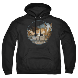 Wild Wings Everyone Loves Kitty - Pullover Hoodie Pullover Hoodie Wild Wings   