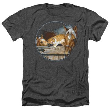 Charcoal men's heather t-shirt with Wild Wings Everyone Loves Kitty graphic