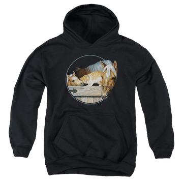 Black youth hoodie for ages 8 to 12 with Wild Wings Everyone Loves Kitty graphic