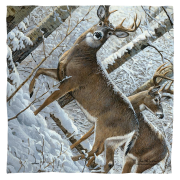 Wild Wings Snowy Deer - Bandana Bandanas Wild Wings   