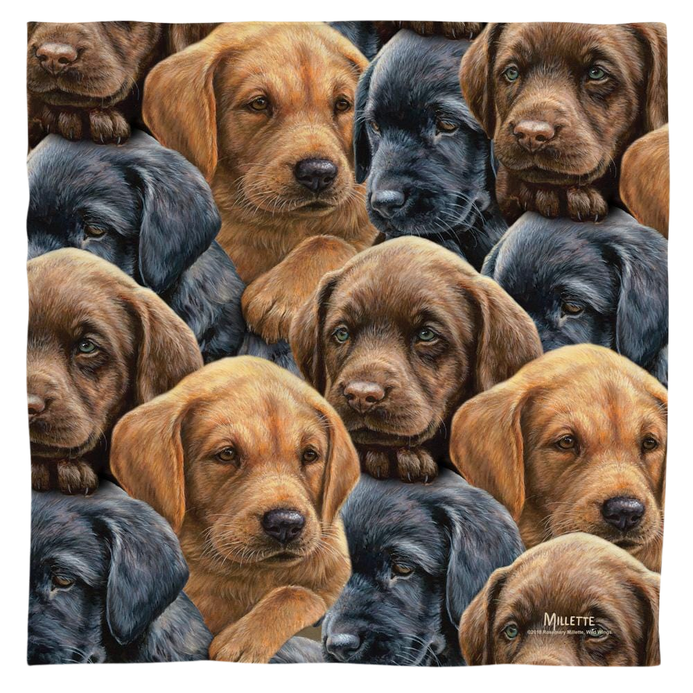 Wild Wings Puppies - Bandana Bandanas Wild Wings   