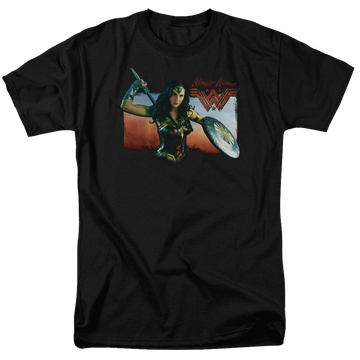 Wonder Woman Warrior Woman Men's Regular Fit T-Shirt Men's Regular Fit T-Shirt Wonder Woman   