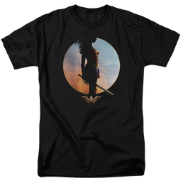 Wonder Woman Wisdom And Wonder Men's Regular Fit T-Shirt Men's Regular Fit T-Shirt Wonder Woman   