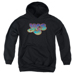 Yes Logo Youth Hoodie (Ages 8-12) Youth Hoodie (Ages 8-12) Yes   