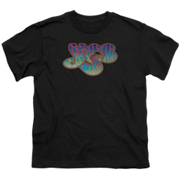 Yes Logo Youth T-Shirt (Ages 8-12) Youth T-Shirt (Ages 8-12) Yes   